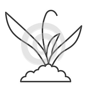 Plant sprouts in soil thin line icon, Gardening concept, Sprout grows in ground sign on white background, young growth