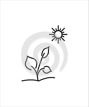 Plant with sun line icon,vector best line icon,vector best illustration design icon.