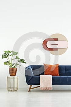 Plant on table next to blue settee with red pillow in white living room interior with poster. Real photo