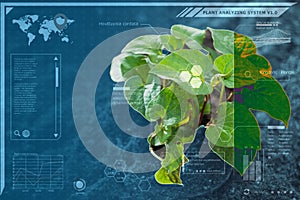 Plant technology botany identify computer system, graphic simulation for advance innovation platform for Precision Agriculture and