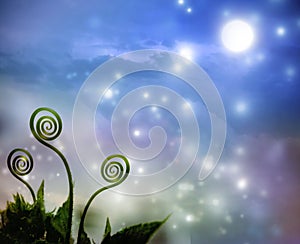 Plant tendrils on night fantasy background