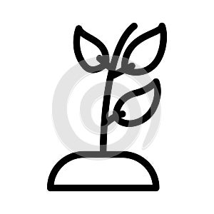 Plant thin line vector icon