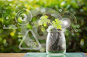 Plant tissue culture growing in laboratory bottles on green blurred background for biotechnology, research and development