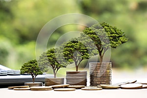 Plant a tree on a coin stack, including a calculator and jar for money.