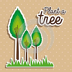 Plant a tree photo