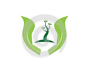 Plant tree and hand logo vector illustration