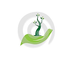 Plant tree and hand logo vector illustration