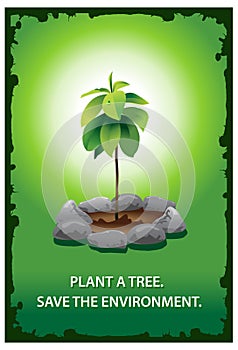 Plant A Tree Poster