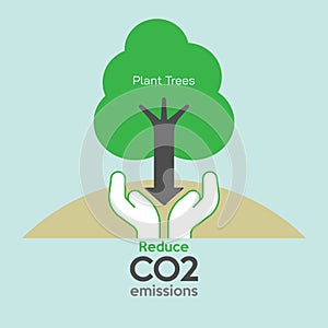 Plant Tree Reduce CO2