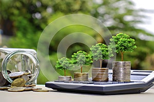 Plant trees on coins and calculators, financial accounting concepts.