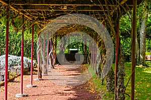 Plant Tunnel in Jardim BotÃÂ¢nico photo