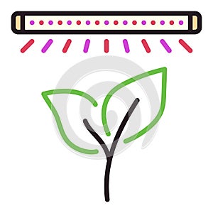Plant under Phyto Lamp vector Grow Light and Gardening colored icon or sign