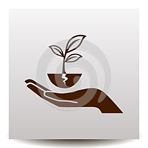 Plant vector icon with human hand on a realistic paper backgroun