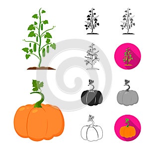 Plant, vegetable cartoon,black,flat,monochrome,outline icons in set collection for design. Garden and harvest vector