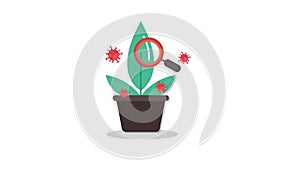 Plant, Virus icon animation for medical motion graphics