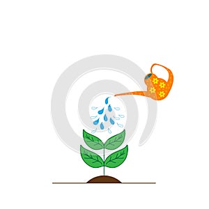 The plant is watered from a watering can. White background. Vector illustration in flat style