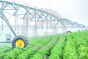 Plant watering system at idustrial farm outside