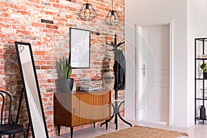 Plant on wooden cabinet between mirror and rack in modern anteroom interior with poster. Real photo photo