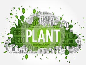 Plant word cloud