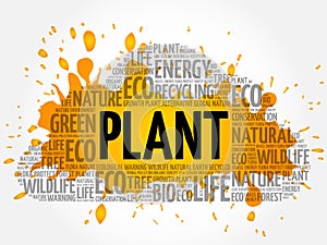 Plant word cloud