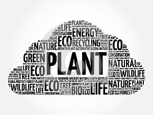 Plant word cloud