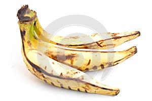 Plantain Banana photo