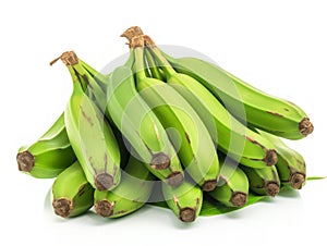 Plantain or Green Banana isolated in white background