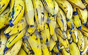 Plantains banana fruit Fruits on the market in Mexico