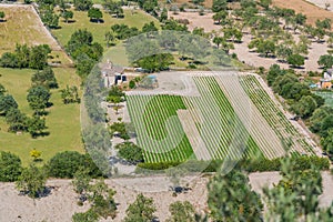 Plantation fields in Mallorca