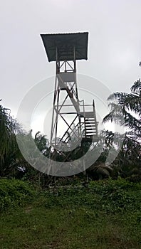 plantation fire towers and their use to monitor plantation hotspots photo