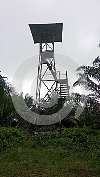plantation fire towers and their use to monitor plantation hotspots