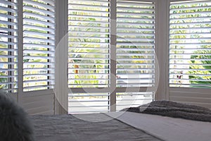 Plantation shutters - selective focus photo