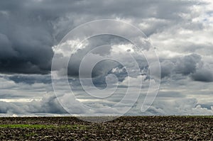 Crops around Grantchester Meadows photo