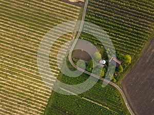 Planted agricultural fields with a road and a house, top view