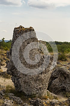 Planted stones, also known as The Stone Desert.