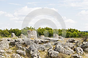 Planted stones, also known as The Stone Desert.