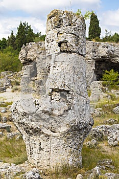 Planted stones, also known as The Stone Desert.