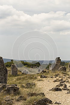 Planted stones, also known as The Stone Desert.