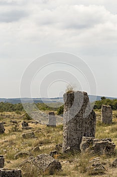 Planted stones, also known as The Stone Desert.