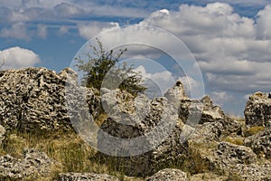 Planted stones, also known as The Stone Desert.