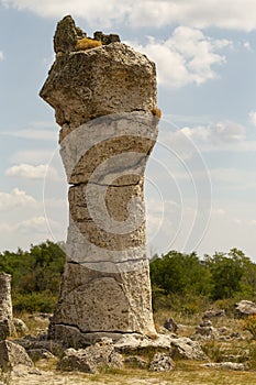 Planted stones, also known as The Stone Desert.