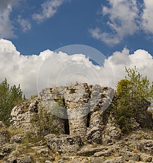 Planted stones, also known as The Stone Desert.