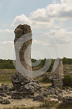 Planted stones, also known as The Stone Desert.