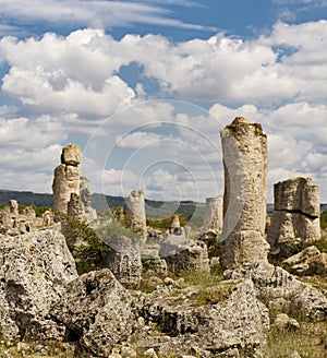 Planted stones, also known as The Stone Desert.