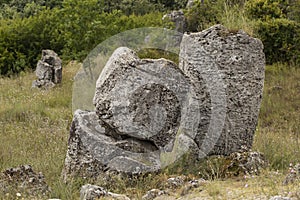 Planted stones, also known as The Stone Desert.