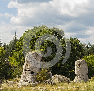 Planted stones, also known as The Stone Desert.