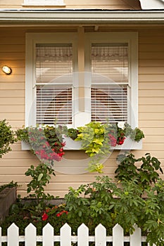 Planter Boxes With Flowers Under Window