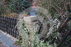 Planter with decorative pumpkins as an autumn decoration in the garden. Berlin, Germany