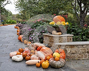 Planter filled with pumpkins with flowers and plants in the background at the Dallas Arboretum in Texas