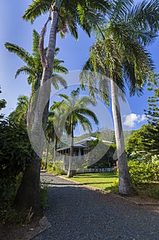 Planter house in botanic garden. Road Town, Tortola